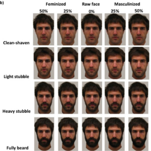 grid of digitally altered photographs of a white male with dark hair, more or less bearded on axis, more feminine or more masculine featured on the other axis